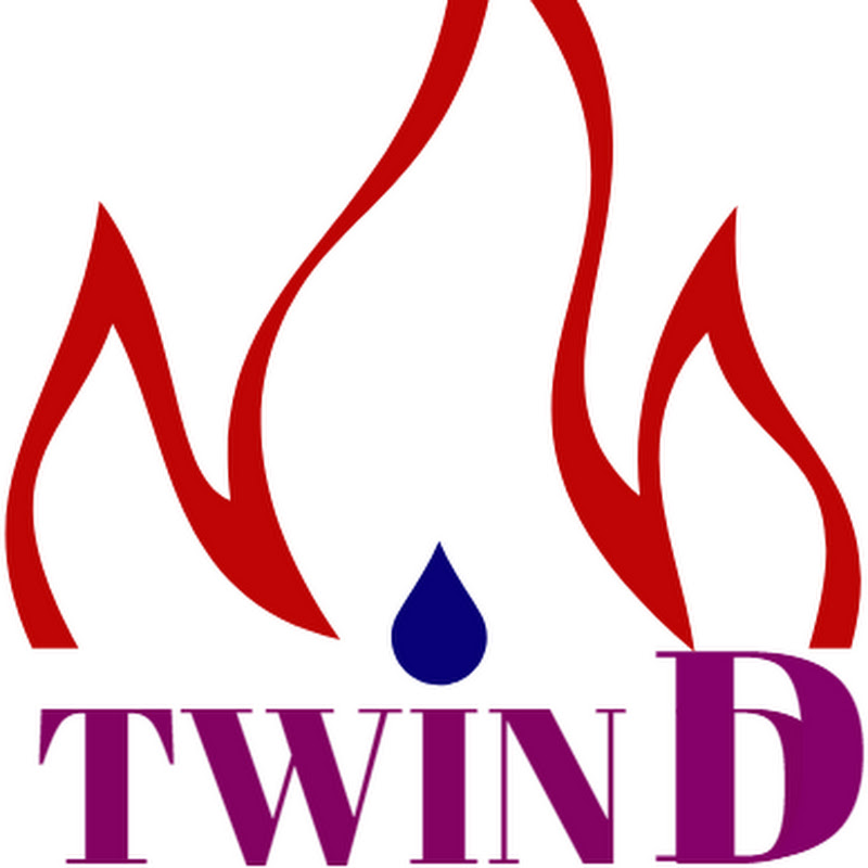 Twin D (Twin Flame Coach)