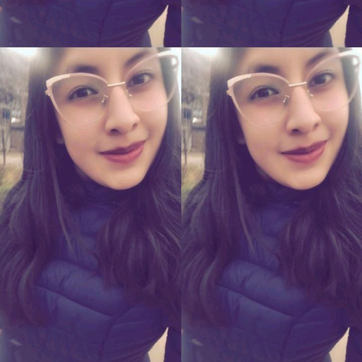 Damarisdlc
