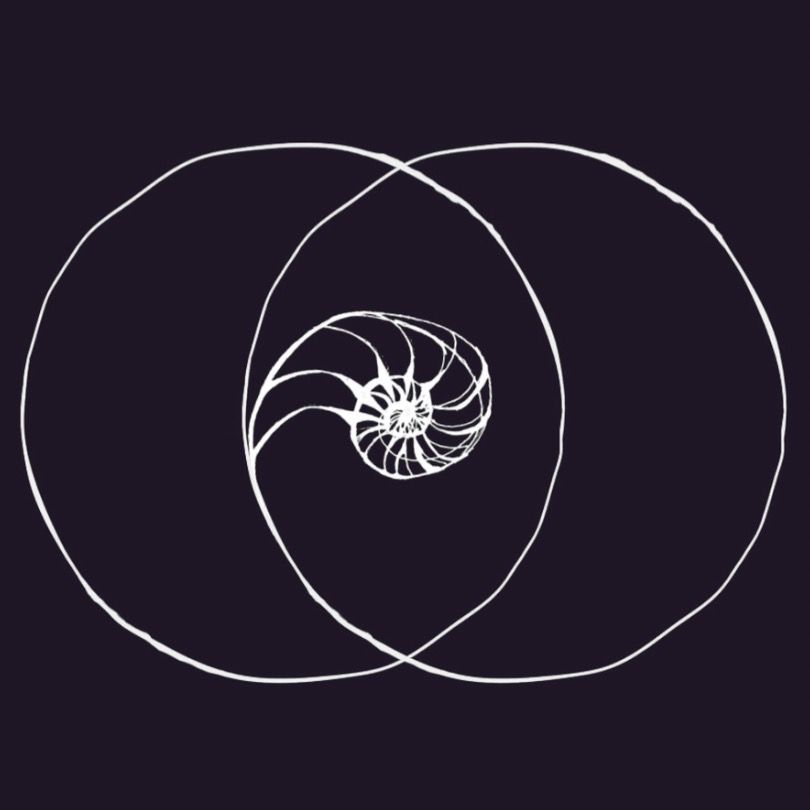 Misia| Meditation teacher 🔮